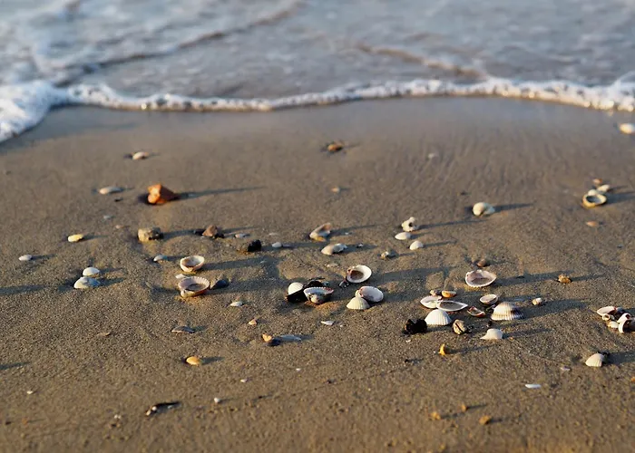 Apartment Peaceful Flat Next To The With Balcony